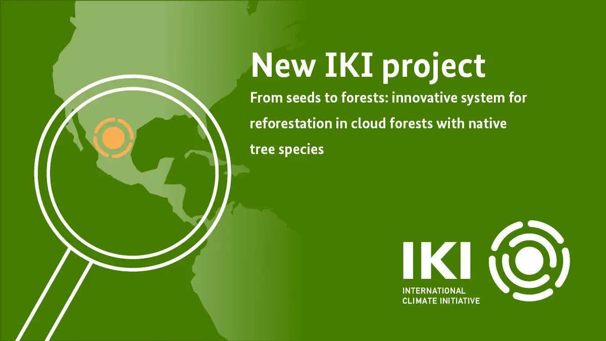 Welcome to the #IKI family! #Conservation #Reforestation 🌱 with native species in #Mexico: @Pronatura_Ver starts new #IKISmallGrants project in June #biodiversity #forest @giz_gmbh #generationrestoration 

Find out more ➡ buff.ly/43OolNw