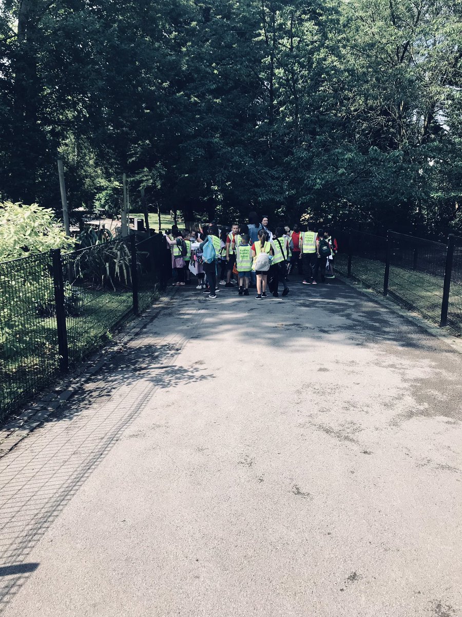 MissPearson22's tweet photo. All of y4 are safely at the Nature Centre! https://t.co/JoBZVxWTPi