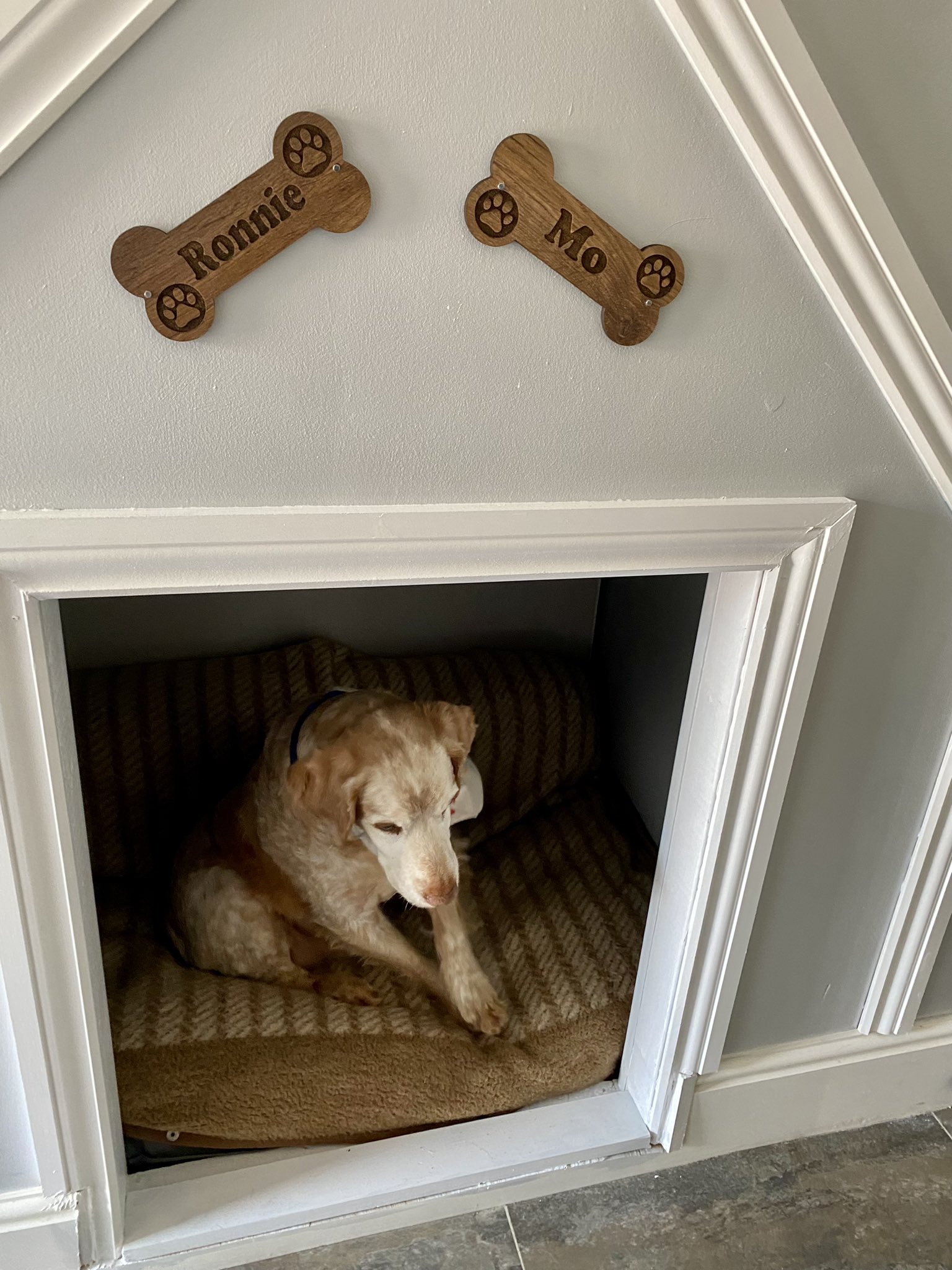 Built in dog bed under stairs online