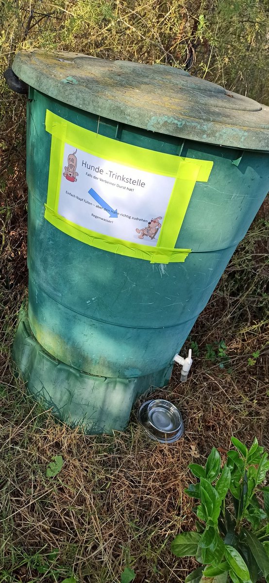 Da ich ja etwas außerhalb an einer beliebten Hunde-Runde wohne, konnte ich am Wochenende öfter sehen, dass das Wetter wohl nicht nur uns Zweibeinern auf den Kreislauf geht.

Deshalb hab ich da mal was vorbereitet: