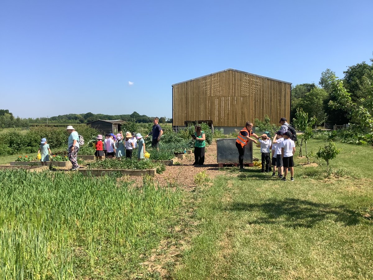 PrimaryBeaumont's tweet photo. On Thursday, Squirrels and Hedgehogs class enjoyed a fantastic trip to @hollowtreesfarm in Semer. The children fed the animals, watered plants, picked fruit and learnt so much about growing and farming. The grown-ups learnt a lot too! A wonderful day out. 🌱🐷🌞 https://t.co/T2s1180nG5