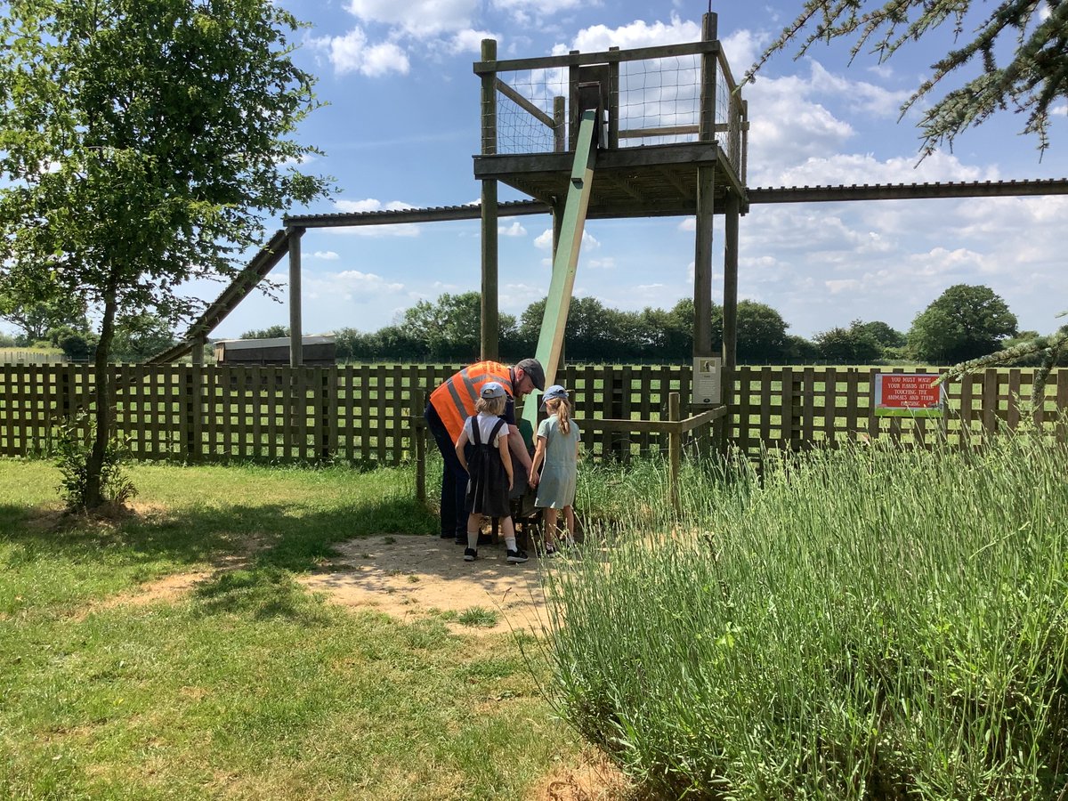 PrimaryBeaumont's tweet photo. On Thursday, Squirrels and Hedgehogs class enjoyed a fantastic trip to @hollowtreesfarm in Semer. The children fed the animals, watered plants, picked fruit and learnt so much about growing and farming. The grown-ups learnt a lot too! A wonderful day out. 🌱🐷🌞 https://t.co/T2s1180nG5