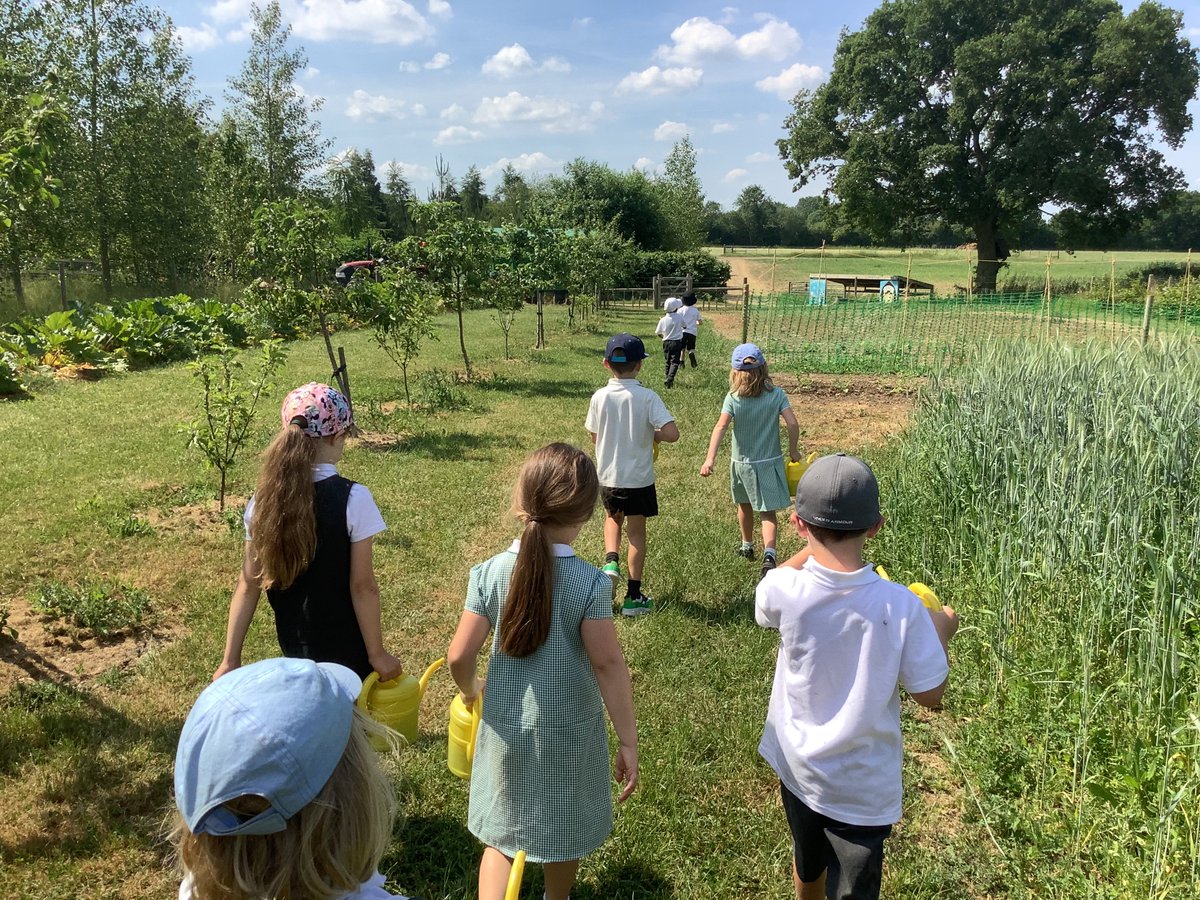 PrimaryBeaumont's tweet photo. On Thursday, Squirrels and Hedgehogs class enjoyed a fantastic trip to @hollowtreesfarm in Semer. The children fed the animals, watered plants, picked fruit and learnt so much about growing and farming. The grown-ups learnt a lot too! A wonderful day out. 🌱🐷🌞 https://t.co/T2s1180nG5