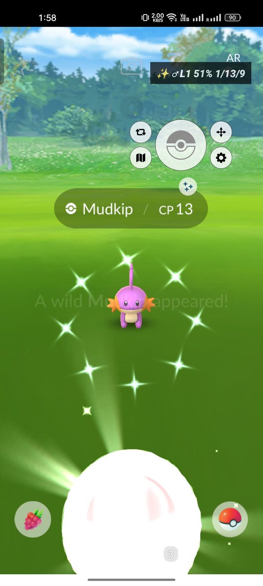 Shinyhuntz's tweet photo. Today i got little mudkip &amp; shiny Articuno ✨✨🔥
Like❤️ follow &amp; RT 🔁 https://t.co/fFTaG29C3E