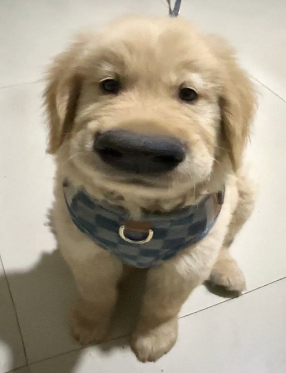 รอแปบนึงครับ กำลังจะไปตกปลามาทำข้าวให้กิมแล้ว