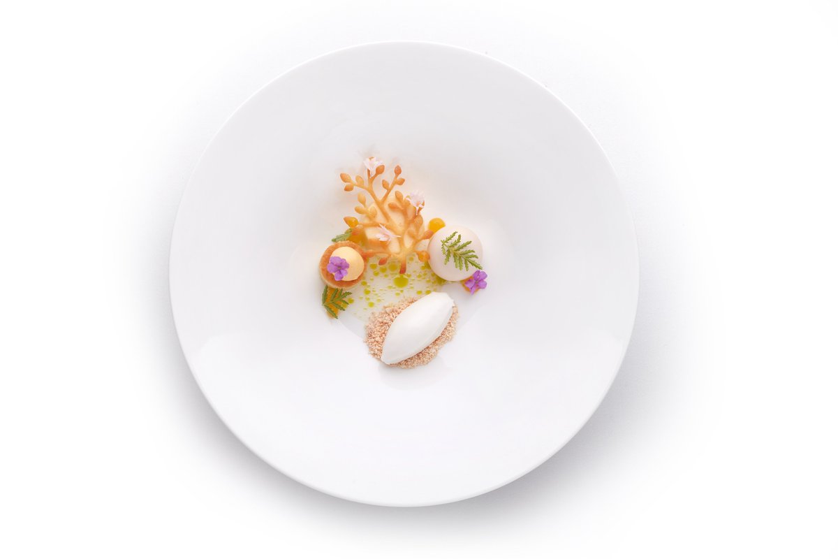 MichelinGuideUK's tweet photo. In Poznań, Muga goes straight into the Guide with a #MICHELINStar thanks to the exceptional quality of its cooking #MICHELINGuidePOL23 https://t.co/UJydEvkUNi