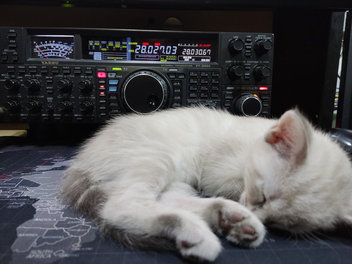 Ger EC1A tweet media