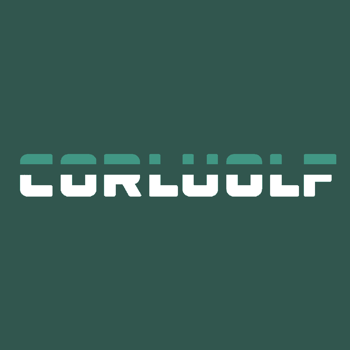 CORLUOLF's tweet photo. 2023年6月23日 金曜日の16:00から18:00くらいに、新製品、新サービスの発表を本アカウントにて行います。 https://t.co/mZ8GN32vV4