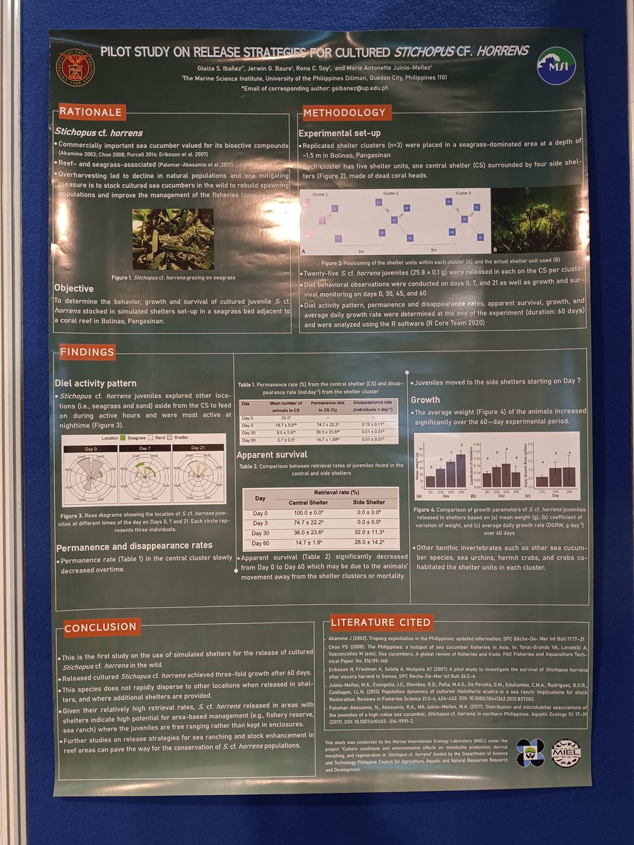 Thirty minutes left before poster session at #APCRS2023 starts. Don't forget to drop by Poster #9 to learn more about our study on release strategies of hatchery-produced sea cucumber Stichopus cf. horrens!