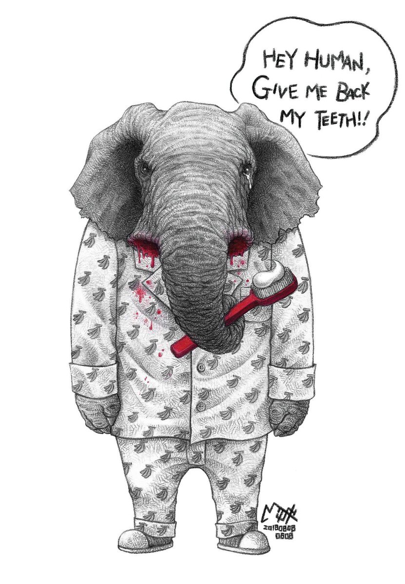 Hey Human 
Give Me Back my Teeth !!!

#Ivory #Elephants 
#STOPpoaching 
#ElephantTwitter