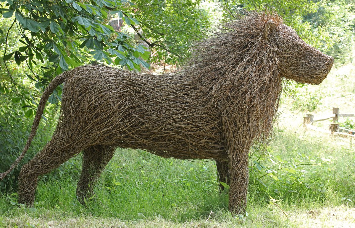 Willow lion sculpture @PaigntonZoo #lion #willowsculpture