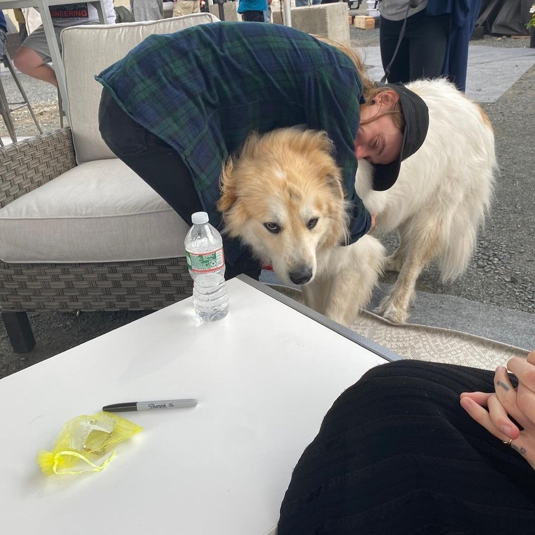 kenyainactive's tweet photo. wonder if phoebe said “doggy☹️” https://t.co/rxAlFkW1bi