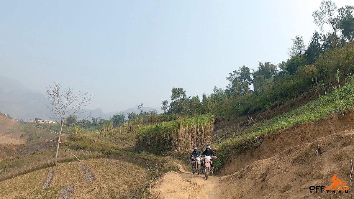 vietnambikers1's tweet image. There are a lot of new skills novice riders have to learn and you need to give it time. ⏰ ⏱️ ⏲️

🖥️ freewheelingtours.com

#newskills #noviceriders #giveittime #vietnam #xuhuong2023 #trending2023 #motorbike #moto #tour #rental #honda #XR250 #XR150L #CRF150L #CRF250L #CRF300L