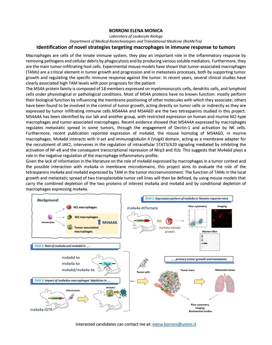 DMEM_PhDunimi's tweet photo. Let's start this Monday with our second research line, held by prof. Borroni!

Main Topic: Identification of novel strategies targeting macrophages in immune response to tumors

For details see the picture below ⬇️

contact: elena.borroni@unimi.it https://t.co/w7SDBlD1ln