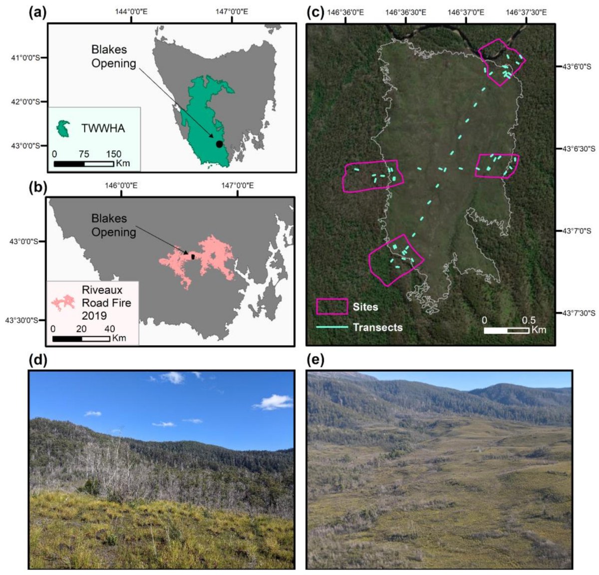 Fire_MDPI's tweet photo. Fire Cycles and the Spatial Pattern of the Scrub–#Sedgeland Mosaic at Blakes Opening in Western Tasmania, Australia
https://t.co/mnQFikXHDB
#fire_kill
#forest
#post_fire https://t.co/guhwPWhaJA