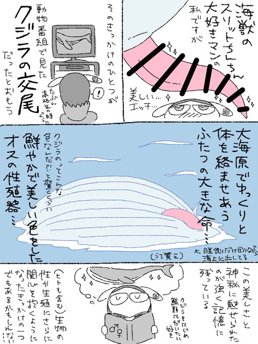 ãå®é²ãã¯ãžã©ã®äº€å°Ÿð(ã¹ãªããã¡ãã¡ãã«æãããã£ãã) #ãã³ã¿ã³ãšå€«æ°ã®å®é²