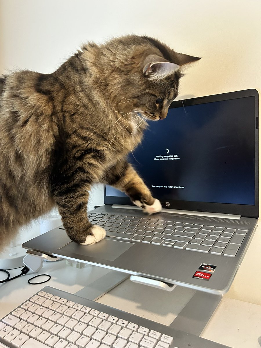 I’m a very helpful worker! I wonder what happens if I press this button?! #takeyourcattoworkday