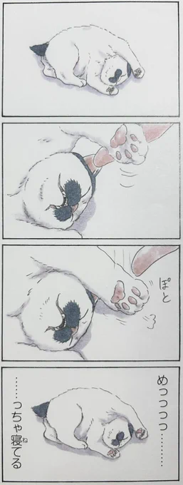 漫画というのは目で見れる夢だと思ってて、この作品を通して心の中の猫と再会できたなら最高です。