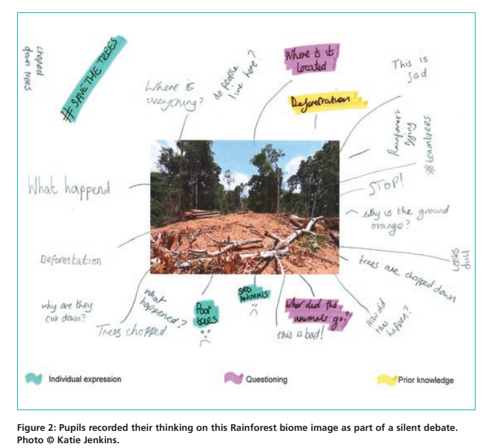 Excellent and insightful article by Katie Jenkins in the summer edition of the @The_GA @EYPPC_GA Primary Geography Journal on child-led enquiry & perceptions of the Amazon Rainforest deforestation #PrimaryGeography 👏👏