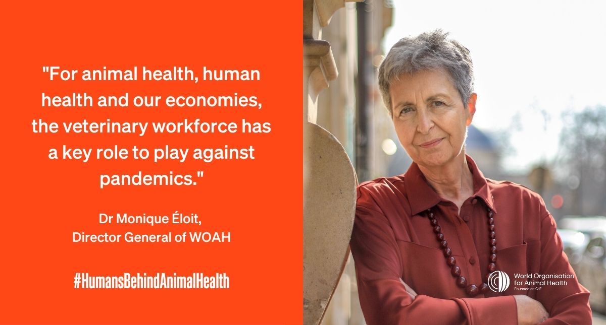 “The veterinary workforce is on the front line for implementing the #OneHealth approach to preventing zoonotic diseases, protecting human health and ensuring food security, among other goals.”

📢 Read @WOAH_DG’s full op-ed: woah.org/en/article/the…

#HumansBehindAnimalHealth