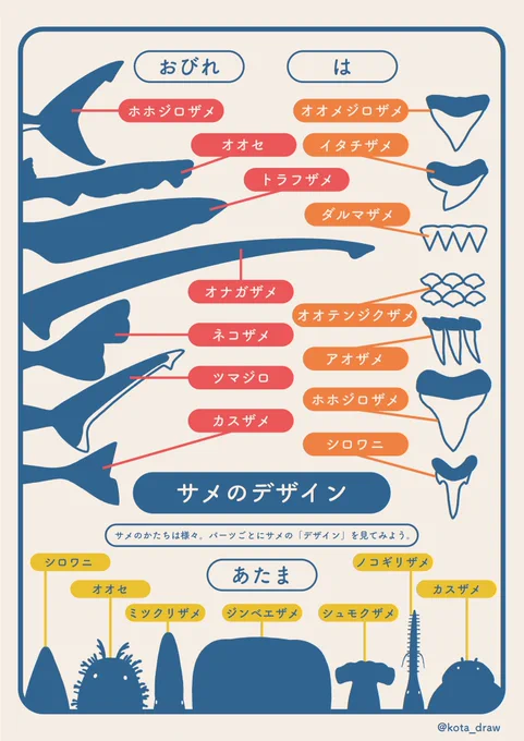 サメをデザイン的な視点で見てみると面白いよ〜という図です。サメの世界は奥ブカい