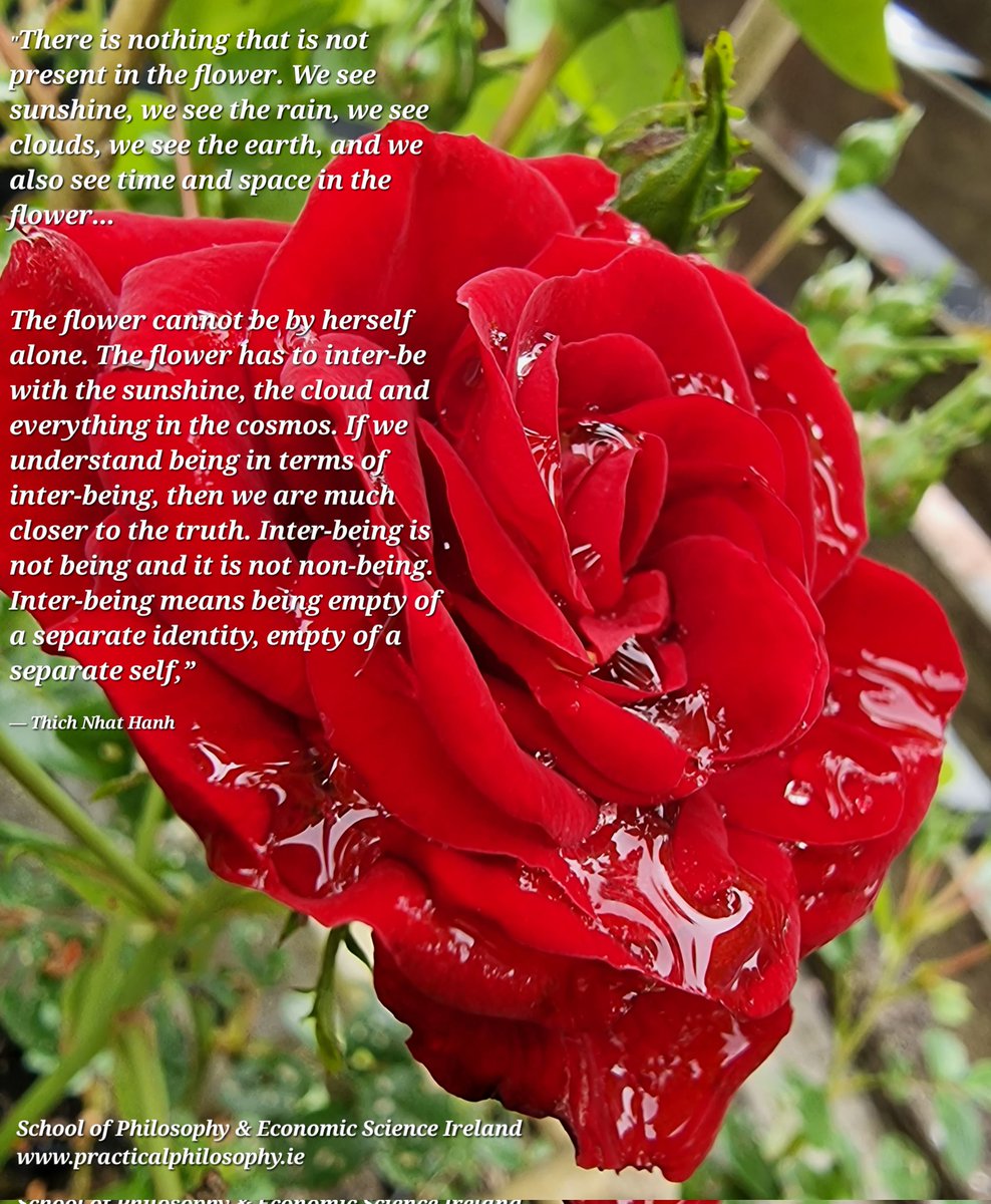 PractPhilosIre's tweet photo. #philosophy #practicalphilosophy #peace #meditation #mindfulness #yoga #vedanta #advaita #wisdom #spirituality #weareone #lovingkindness #happiness #presence #stillness #selfrealisation #truth #ancientwisdom #stillness #unity #awareness #consciousness #flower #quoteoftheday https://t.co/USxiNFhms3