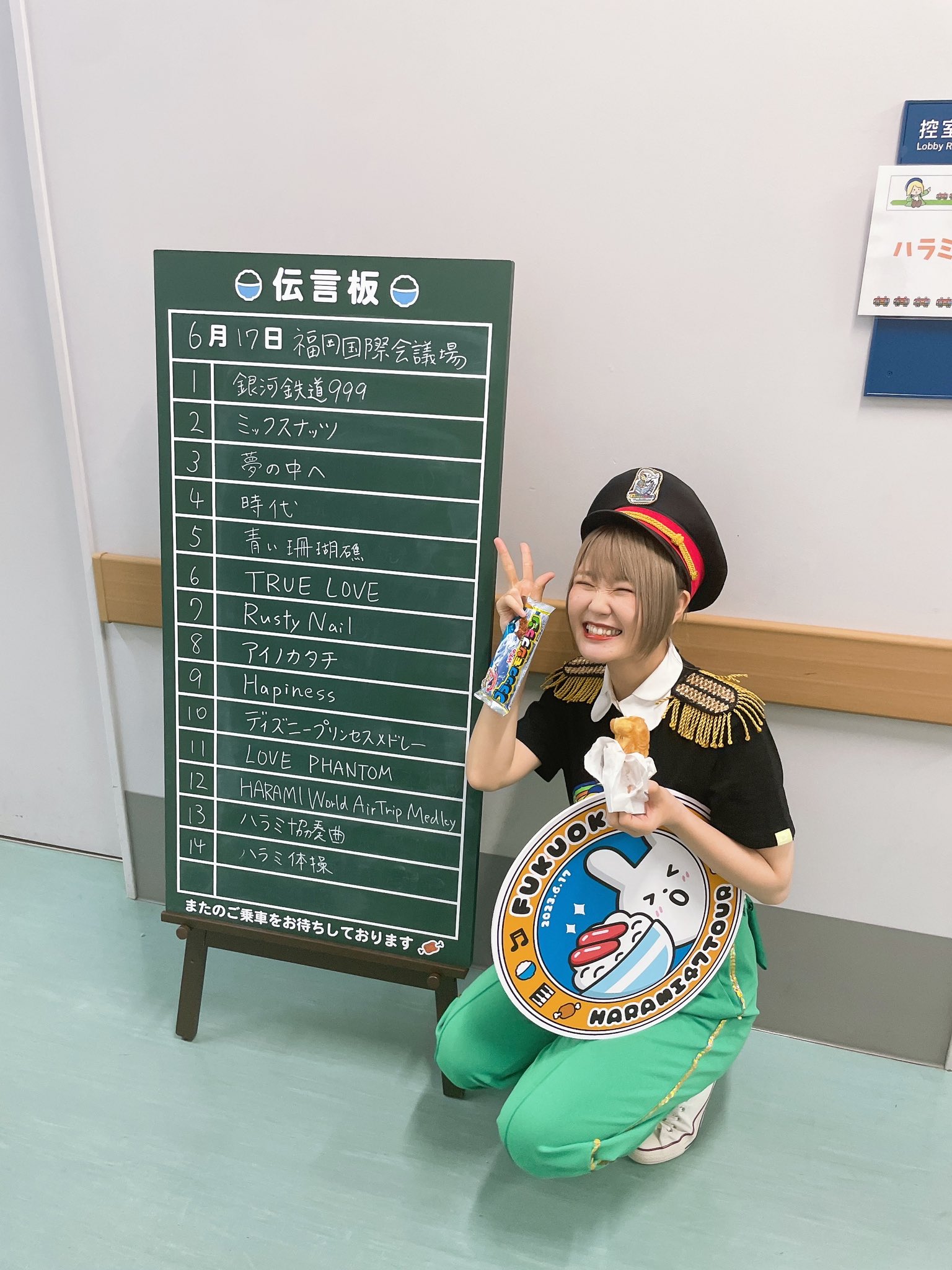 ハラミちゃん 47都道府県ピアノツアー🍖🎹🗾🚃✈️🌈 on Twitter
