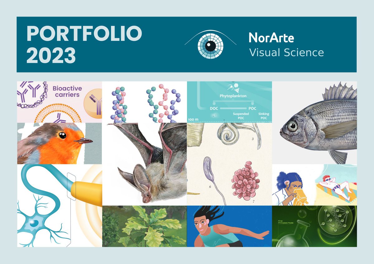 ¡Nuevo portfolio! Portfolio berria!

🧬🪲🐠🫀🌸🧠🌱⛰️🦠

⬇️ norarte.es/wp-content/upl…