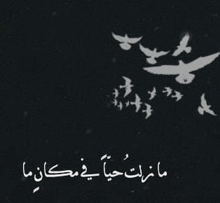 "٠"٠"٠"٠"

.. ويُسقط  كل  اوراقي 
    الخريف

مجنحة  خطاي ،
 الريح  دربي..

ووجهك  قبلتي  انّى
اطوف…
               "لميعه عباس عماره"
