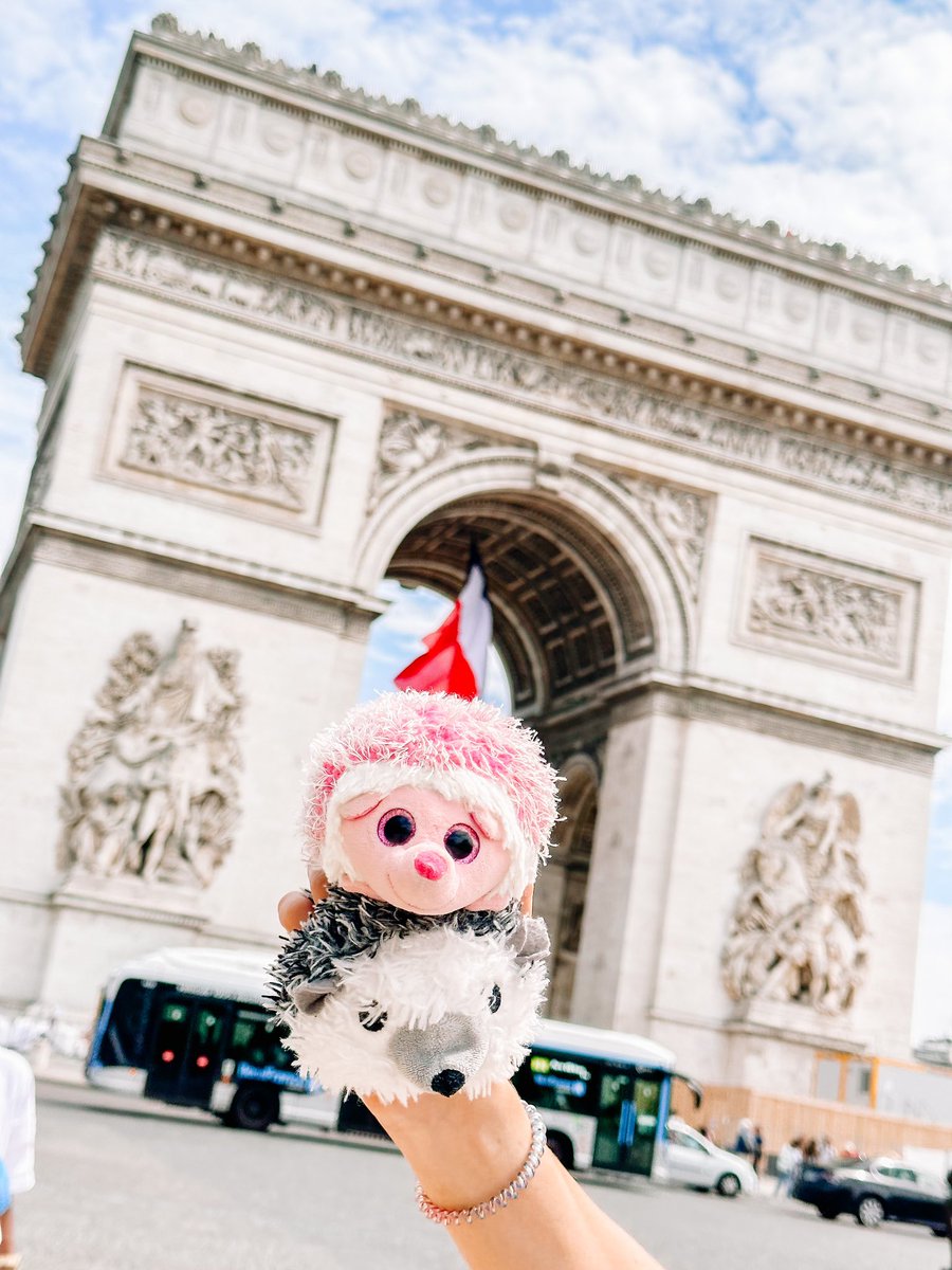 HaileyHedgehogs's tweet photo. Bonjour! Quilliam and Quilla have loved every minute of Paris and can't wait to write about it in our class pet journal for the #haileyhedgehogs @McGowenES! What an adventure they have had! They have learned so much!🇫🇷❤️🤍💙🦔 Au revoir! #mymisd #youbelonginmisd #misdliveskind https://t.co/K8UO6J4bsL