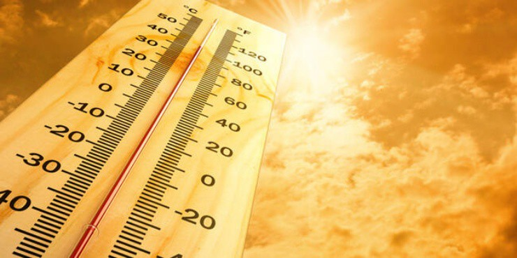 Hindistan’ın kuzeyi ve doğusunda etkisini gösteren sıcaklar nedeniyle iki günde 46 kişi hayatını kaybetti

#yaz #sıcak #sıcakhava #hindistan #yazmevsimi