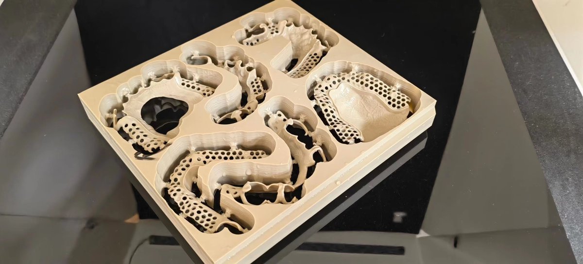 Beckydentallab's tweet image. #peek #metalframework #CCP