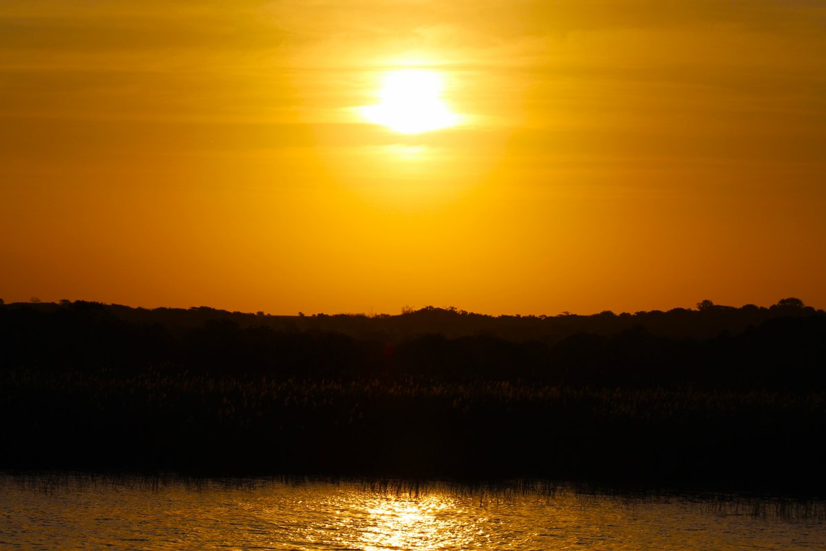 St Lucia Estuary 🦛
Observe Hippo's, Nile Crocodiles and Hundreds of bird species on a Hippo &amp; Croc Boat Cruise while in St Lucia. This 2 hour Boat Cruise Safari gets you close up to the residents of the estuary.