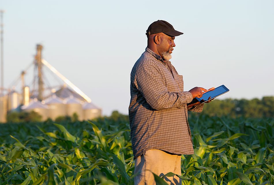 WinjitSA's tweet photo. 🌾 Boosting Agribusiness in South Africa! Explore the transformative power of IoT technology in agriculture, driving efficiency and productivity to new heights. Read more: https://t.co/TCK94aRyQZ 

#IoT #Agriculture #SouthAfrica #Innovation https://t.co/8iPhpvt7r2