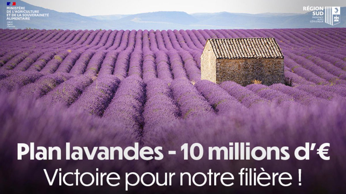 Un combat collectif de la #RegionSud, des départements et bien sûr de la filière pilotée par <a href="/ldepieds/">Laurent Depieds</a> !

Merci à <a href="/MFesneau/">Marc Fesneau</a> pour cette décision importante, qui répond à plusieurs enjeux essentiels pour nos lavandiculteurs. 

La mobilisation continue au niveau européen ! 🇪🇺🇫🇷
