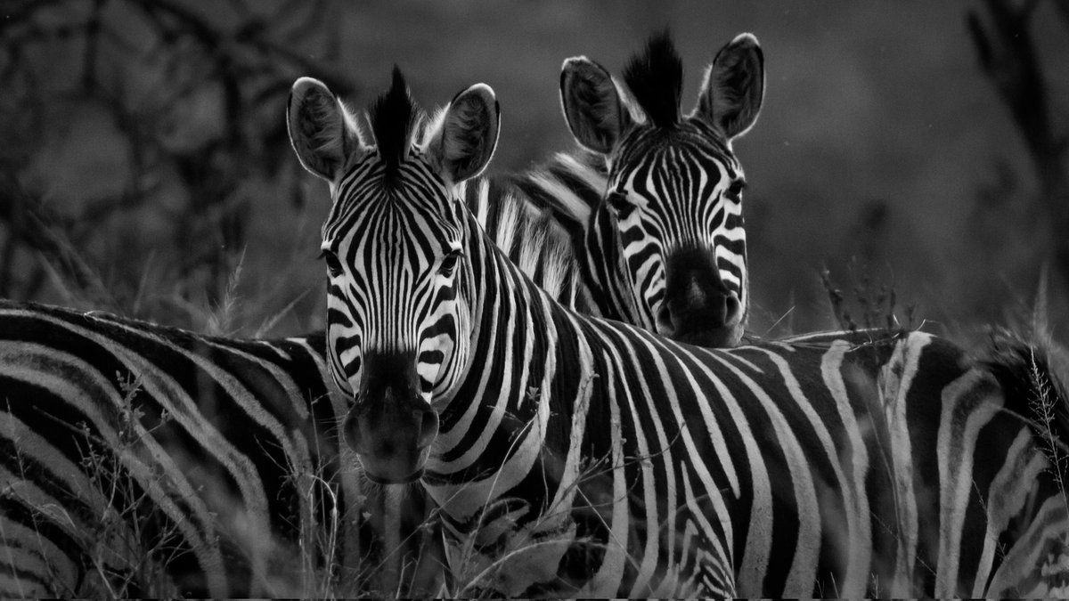 Emma-Leigh 🏳️‍🌈✨ tweet media