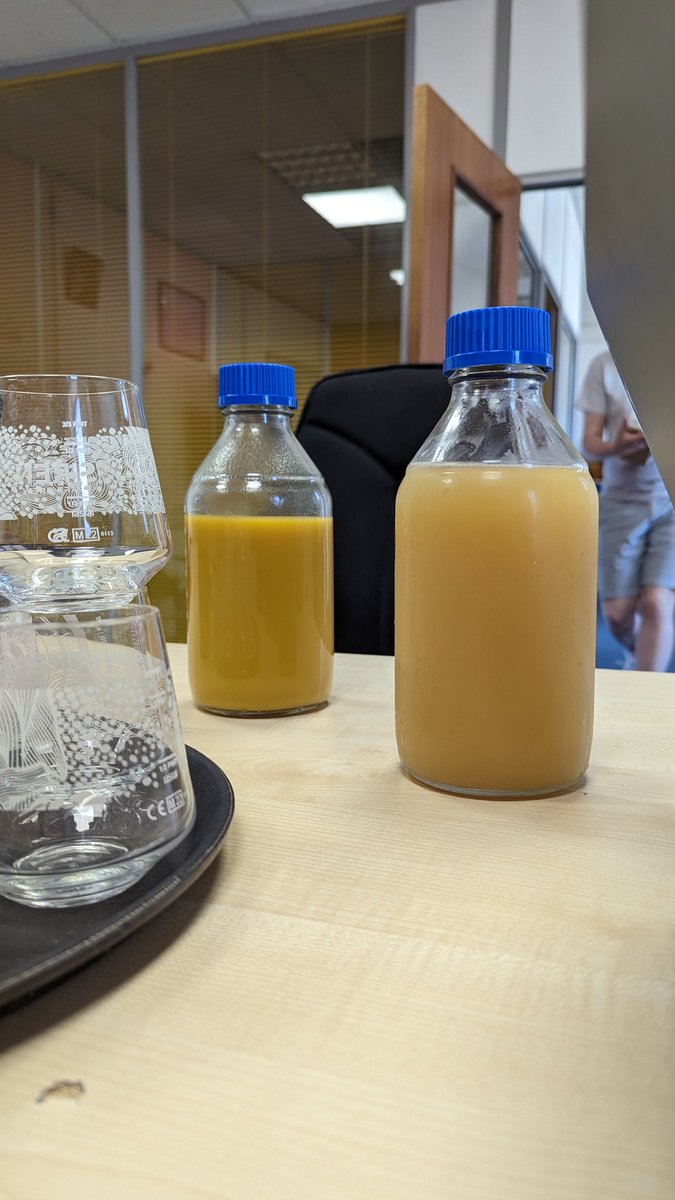 Siren Craft Brew tweet media