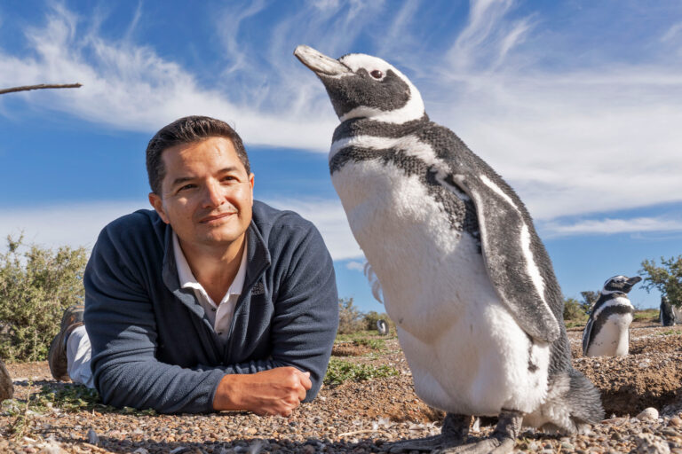 Actus Mer/Sea News: Penguins 'enrich our lives': Q&A with @PopiBorboroglu, protector of penguins - @ECAlberts @mongabay dlvr.it/Sqv7DN