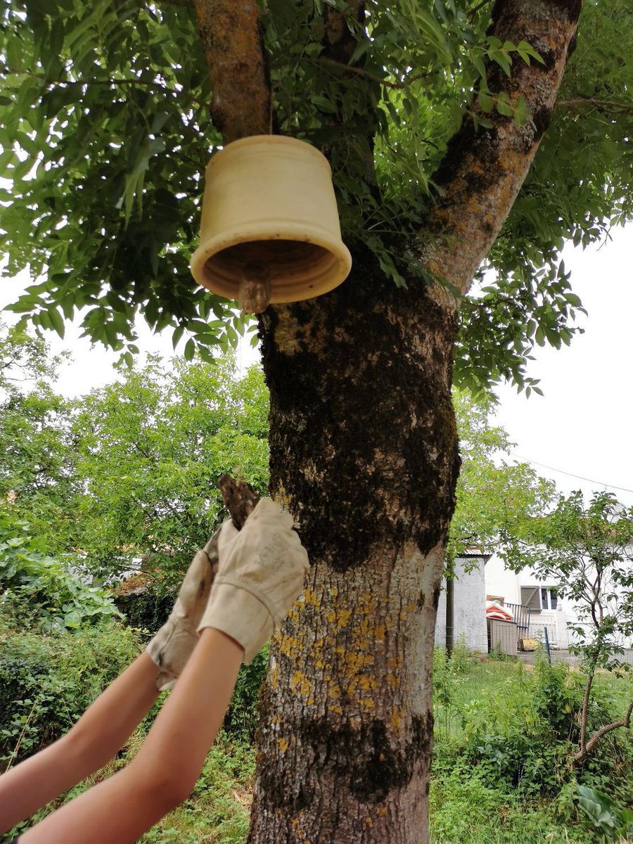 cauevendee's tweet photo. A la Mainborgère, les CM1/CM2 de l’école Castelguibertine investissent l’espace public. Allée et mobilier éphémères ont été créés avec des matériaux naturels.
Action « sur les chemins de l’école » du @cauevendee et proposée par Sud Vendee Littoral
#caue #surlescheminsdelecole https://t.co/OFnWHl4bl6