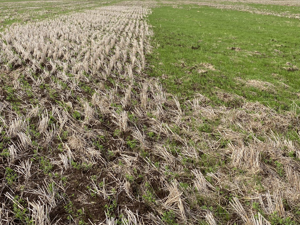 Chris Davey tweet media