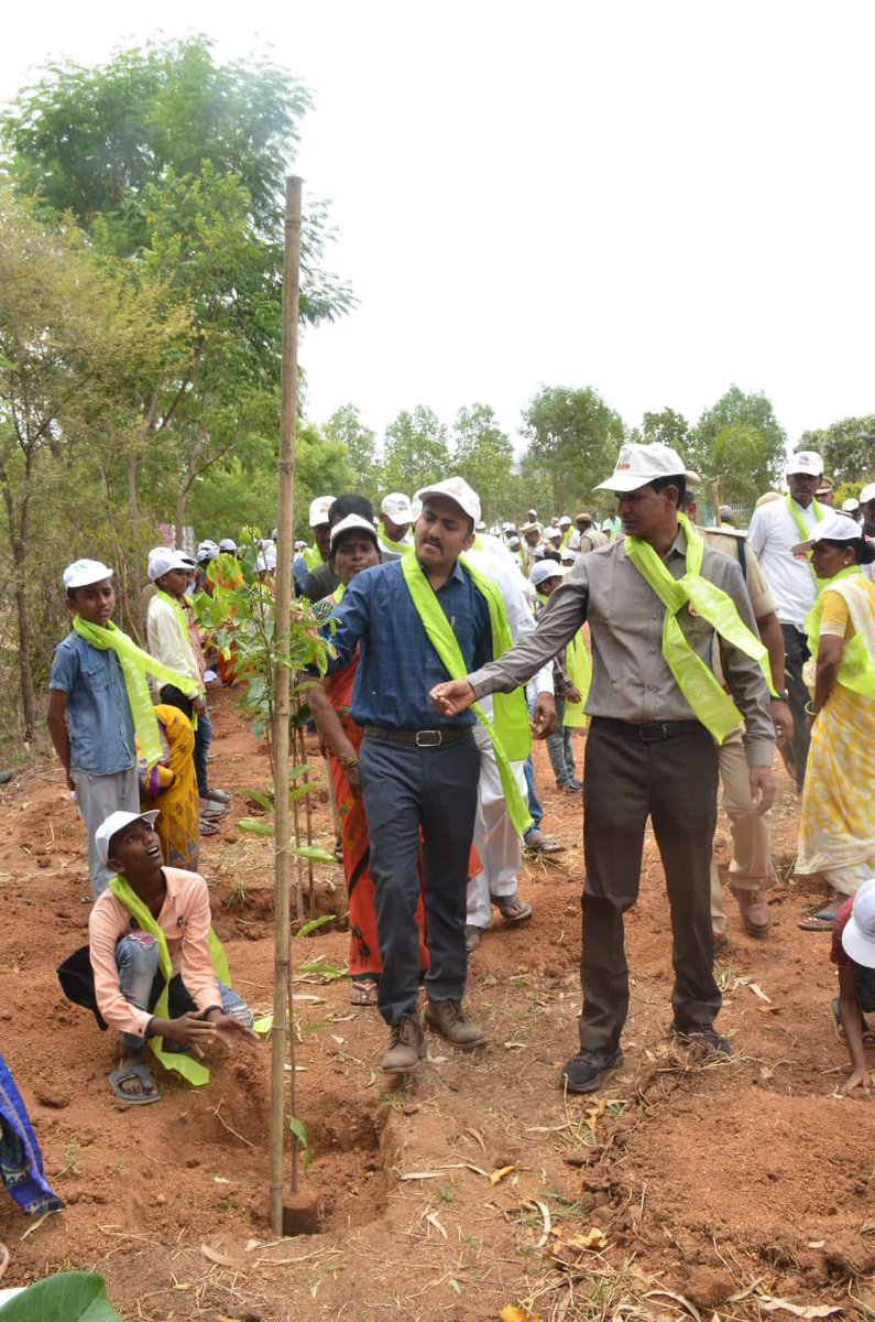 Collector_SDPT's tweet photo. Launched #harithaharam today at Marpadaga kalpakavanam with scholl children with program organised by Forest dept. @BRSHarish @IPRTelangana @TelanganaCMO https://t.co/h7qViF4vkB