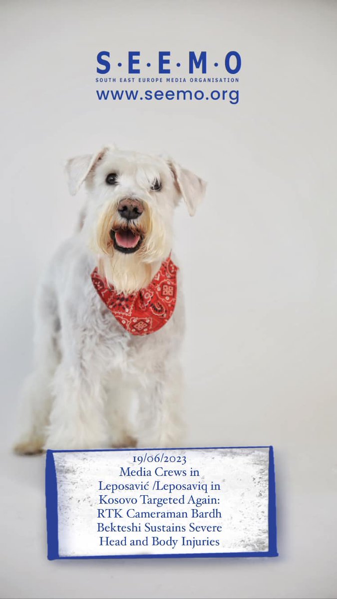 Media crews from Pristina, Kosovo, faced another brutal assault on Friday 16 June 2023, while covering protests in Leposavić/ Leposaviq in Kosovo. More: facebook.com/photo?fbid=264…