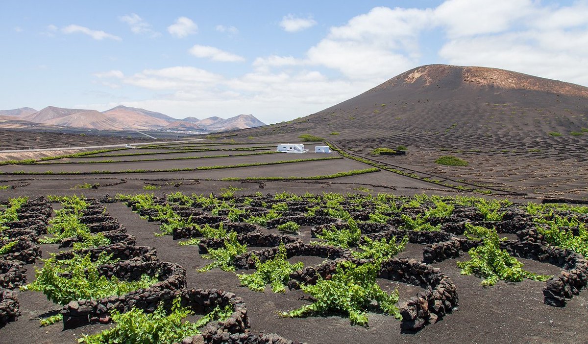 Canaragua's tweet image. Mañana nuestr@s compañer@s @Rafacheka y @sara_vera_ asistirán al #LivingLab #Canarias. en la Escuela de Ingeniería Agraria de #LaLaguna 🤗Buscando soluciones #sostenibles y de #calidad para el efecto del aumento de las temperaturas 🌡️ 🌞