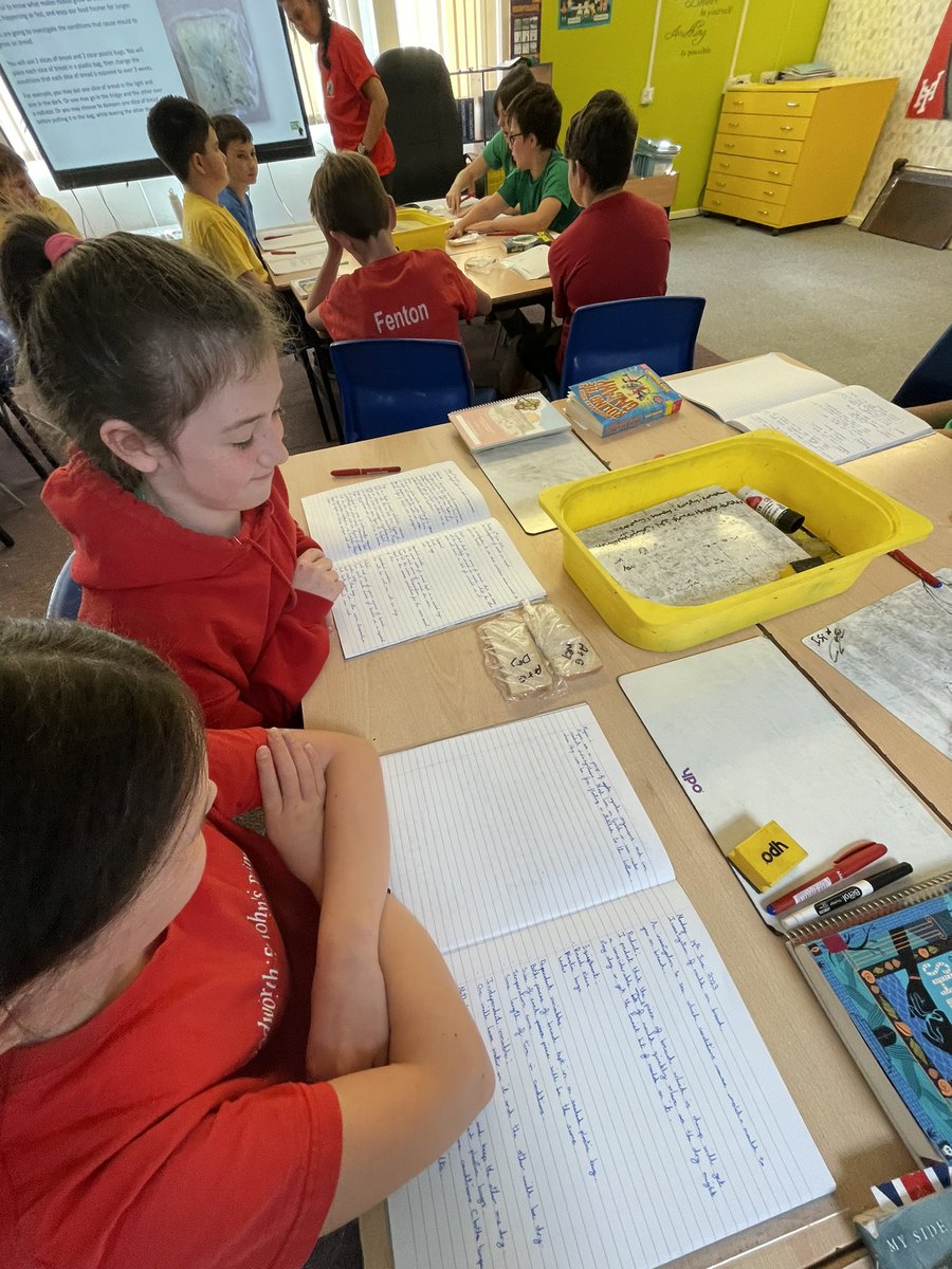 DSJ_Year6's tweet photo. Y6 investigating what makes mould grow 🍞🦠 https://t.co/EPKmEwjb9X
