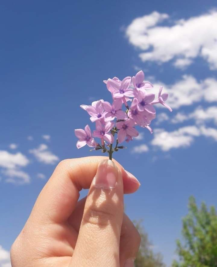 ReemALDOSSARY22's tweet image. وكما تعوّدنا، لا نندم على عطاءنا، يكفي أننا كنا صادقين... #مساء_الخير