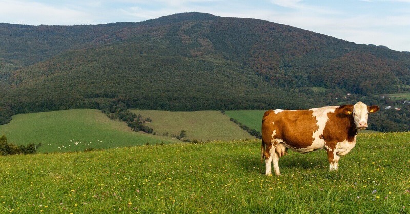 Farming Future Food tweet media