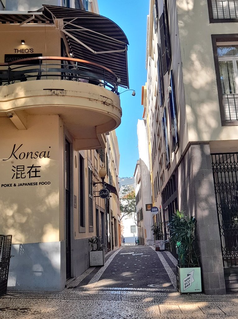 Happy Monday! 🌞
Street alley with a view. 
Not all alleys are blind. 😊
#MondayMotivation
#Funchal #MadeiraIslands🏝