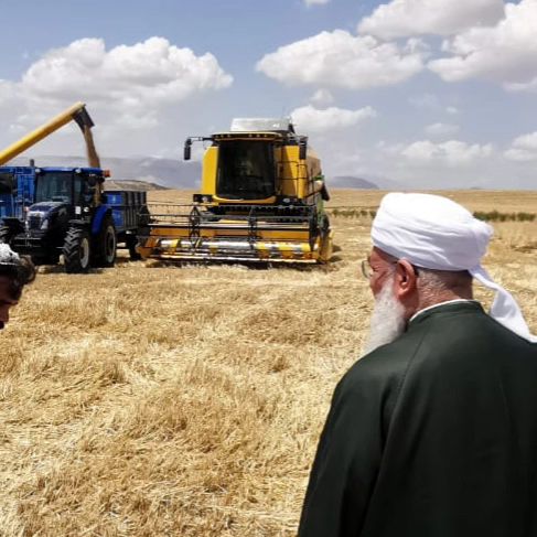 "Çorba hasat zamanı" 🌹