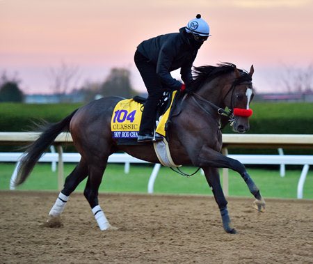 MSBahassan's tweet image. INDIAN CHARLIE proofed himself as a spectacular broodmares sire. 

As a BMS :

The Mighty FLIGHTLINE 

HOT ROD CHARLIE 

MITOLE 

ROWAYTON

QUIP

CHARGE IT  

He keep proofing that his impact as a BM line continues after we saw ⭐️ #Muth Last night