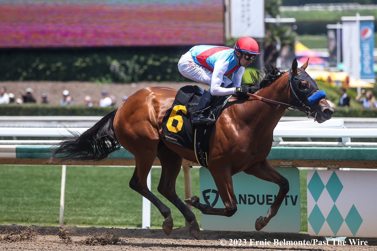 MSBahassan's tweet image. INDIAN CHARLIE proofed himself as a spectacular broodmares sire. 

As a BMS :

The Mighty FLIGHTLINE 

HOT ROD CHARLIE 

MITOLE 

ROWAYTON

QUIP

CHARGE IT  

He keep proofing that his impact as a BM line continues after we saw ⭐️ #Muth Last night